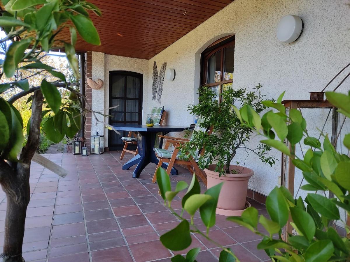 Ferienwohnung Bastian Thalmassing (Roth) Exterior foto